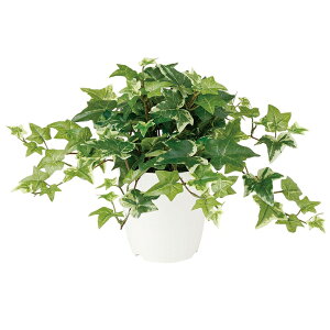 yő10%OFFN[|P10{! BFzϗtA lH  Z[WACr[ 300mm PTCY :CV-05 i