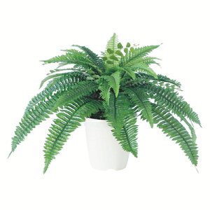 yő10%OFFN[|P10{! BFzϗtA lH  {Xgt@ 400mm PTCY :CV-06 i