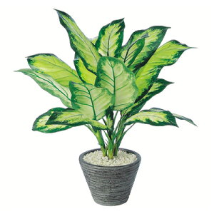 yő10%OFFN[|P10{! BFzϗtA lH  fBtFoMAJ~[ 500mm PTCY :PEhS(BK) i