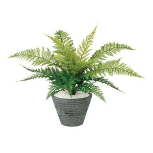 yő10%OFFN[|P10{! BFzϗtA lH  U[t@ 350mm PTCY :PEhS(BK) i