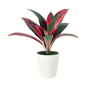 yő10%OFFN[|P10{! BFzϗtA lH  C{[e~iX 550mm PTCY :RP-185 i