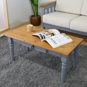 90cm Z^[e[u t`Jg[ kpC C ؐ VR ot wK e[N oCJ[