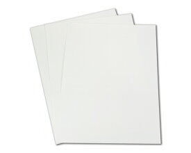 97931 ハルシックイ 不織布 A4サイズ 3枚入