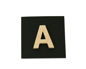 PSB25-A P�� A�y���z
