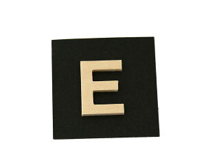 PSB25-E P�� E�y���z