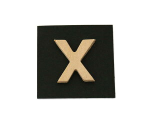 PSB25-X P�� X�y���z