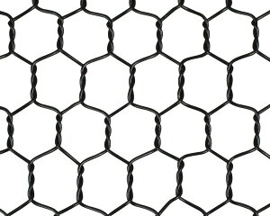 rj[Tb#20×10×450mm 30m ubNygcz