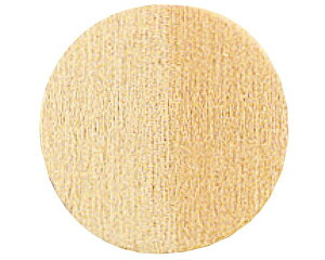 vlWJo[V[@260@FCW|M0414|PINyXKclHƁz