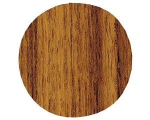 vlWJo[V[@600@FCW|M1|09|TKyXKclHƁz