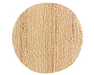 vlWJo[V[@260@FCW|M1014|HCyXKclHƁz