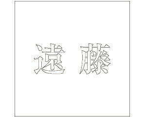 LW  zCg 100×100~p yz