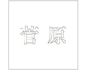 LW  zCg 200×200~p yz