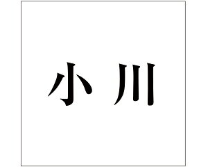LW  ubN 100×100~p yz