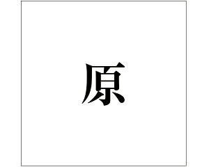 LW  ubN 100×100~p yz