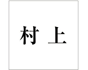 LW  ubN 160×160~p yz