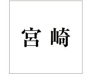 LW  ubN 160×160~p {yz