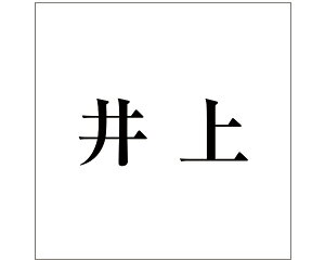 LW  ubN 200×200~p yz