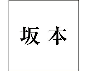 LW  ubN 200×200~p {yz