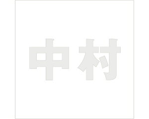 LW SVbN p[O[ 100×100~p yz
