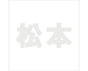 LW SVbN p[O[ 100×100~p {yz