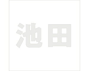 LW SVbN p[O[ 100×100~p rcyz