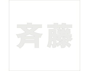 LW SVbN p[O[ 100×100~p ēyz