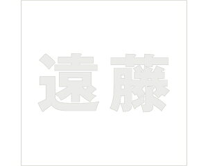 LW SVbN p[O[ 100×100~p yz