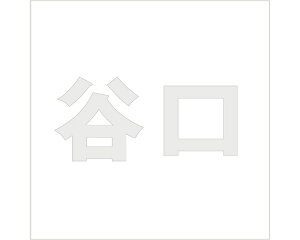 LW SVbN p[O[ 100×100~p Jyz