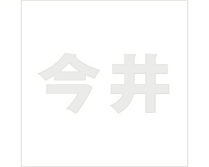 LW SVbN p[O[ 100×100~p yz