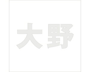 LW SVbN p[O[ 100×100~p yz