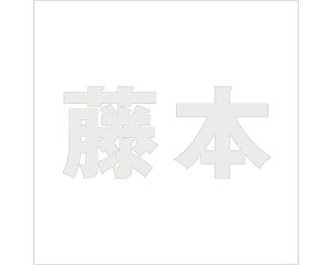 LW SVbN p[O[ 100×100~p {yz