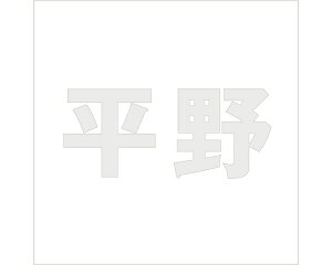 LW SVbN p[O[ 100×100~p yz