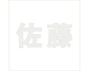 LW SVbN p[O[ 160×160~p yz