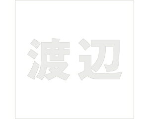 LW SVbN p[O[ 160×160~p nӁyz