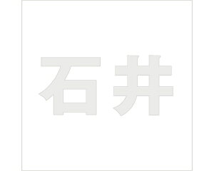 LW SVbN p[O[ 160×160~p Έyz