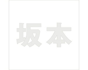 LW SVbN p[O[ 160×160~p {yz