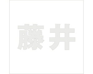 LW SVbN p[O[ 160×160~p yz