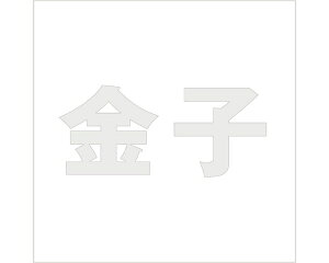 LW SVbN p[O[ 160×160~p qyz