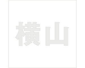 LW SVbN p[O[ 160×160~p Ryz