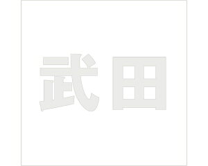 LW SVbN p[O[ 160×160~p cyz