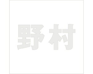 LW SVbN p[O[ 160×160~p 쑺yz