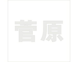 LW SVbN p[O[ 200×200~p yz