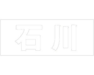 LW SVbN zCg Vn30~ ΐyz