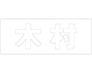 LW SVbN zCg Vn50~ ؑyz