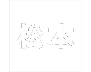 LW SVbN zCg 100×100~p {yz