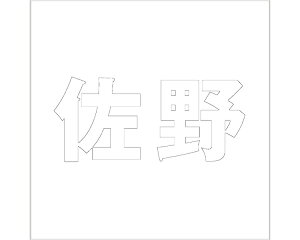 LW SVbN zCg 100×100~p yz