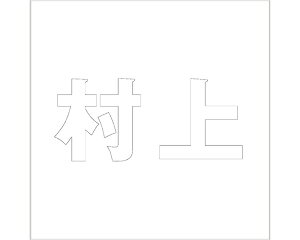 LW SVbN zCg 160×160~p yz