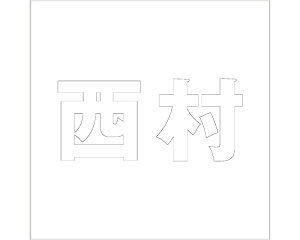 LW SVbN zCg 160×160~p yz