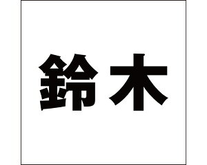 LW SVbN ubN 100×100~p ؁yz