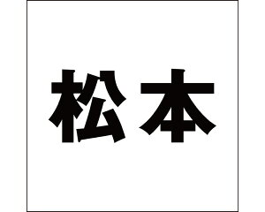 LW SVbN ubN 100×100~p {yz
